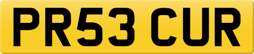 PR53CUR