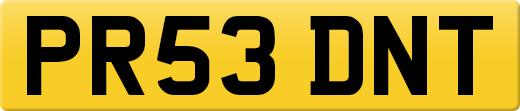 PR53DNT
