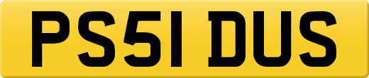 PS51DUS