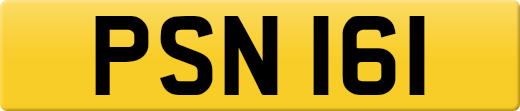 PSN161