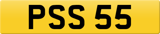 PSS55