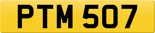 PTM507