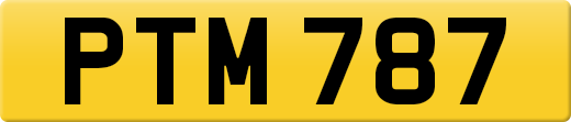 PTM787