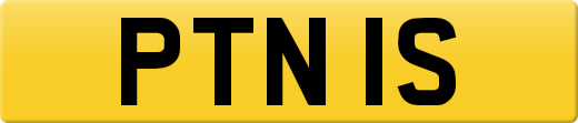 PTN1S