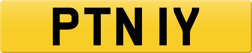 PTN1Y