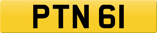 PTN61