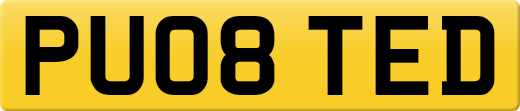 PU08TED