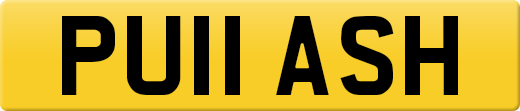PU11ASH