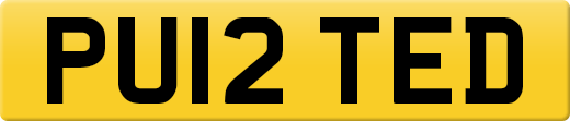 PU12TED