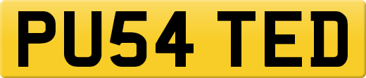 PU54TED