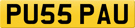 PU55PAU