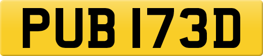 PUB173D