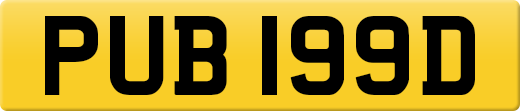 PUB199D