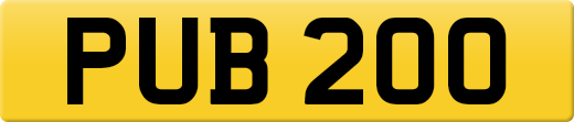 PUB200