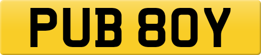 PUB80Y