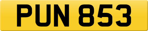 PUN853