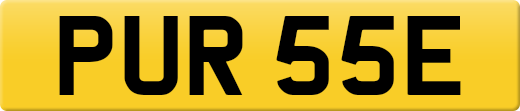 PUR55E