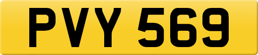 PVY569