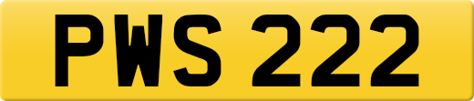 PWS222