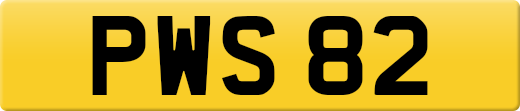 PWS82