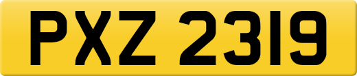 PXZ2319