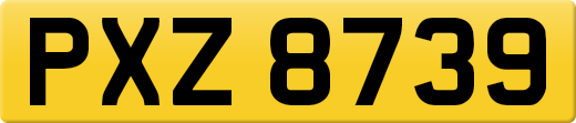 PXZ8739