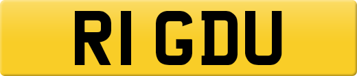 R1GDU