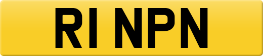 R1NPN
