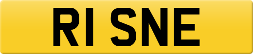 R1SNE