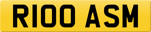 R100ASM
