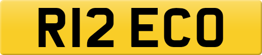 R12ECO