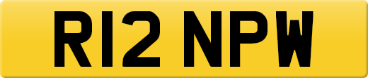R12NPW