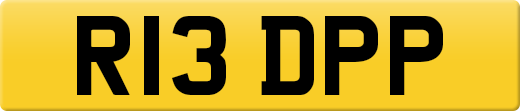 R13DPP