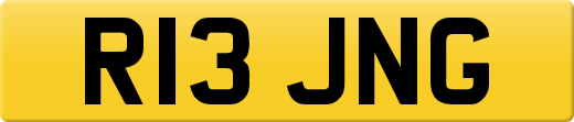R13JNG