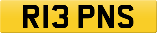 R13PNS