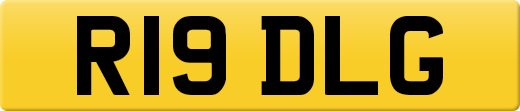 R19DLG