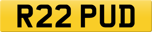 R22PUD