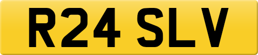 R24SLV