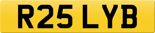 R25LYB