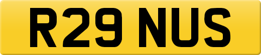 R29NUS