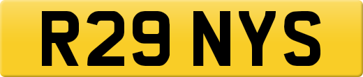 R29NYS