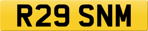 R29SNM