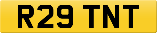 R29TNT