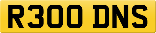 R300DNS