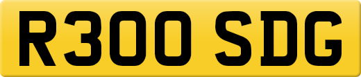 R300SDG