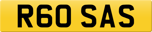 R60SAS