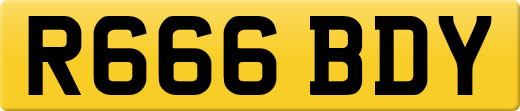 R666BDY