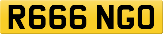 R666NGO
