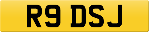 R9DSJ