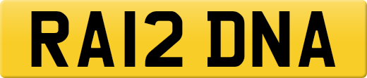 RA12DNA